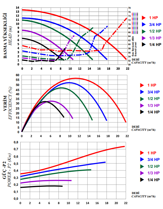 Grafico